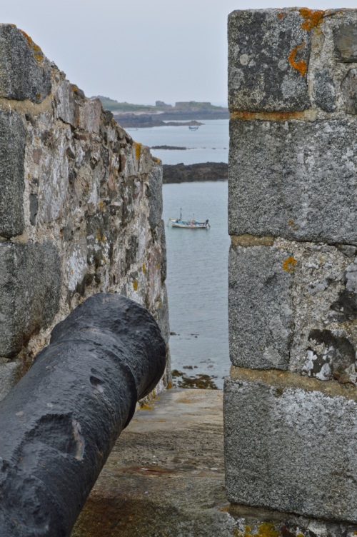 Guernsey June 2014 - 697